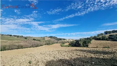 Rustico/Casale in vendita a Santa Maria Nu... - foto 7