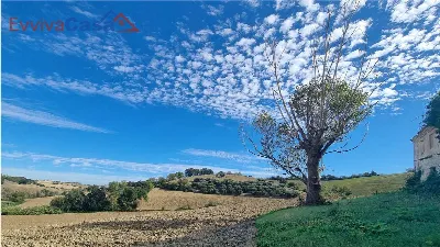 Rustico/Casale in vendita a Santa Maria Nu... - foto 9