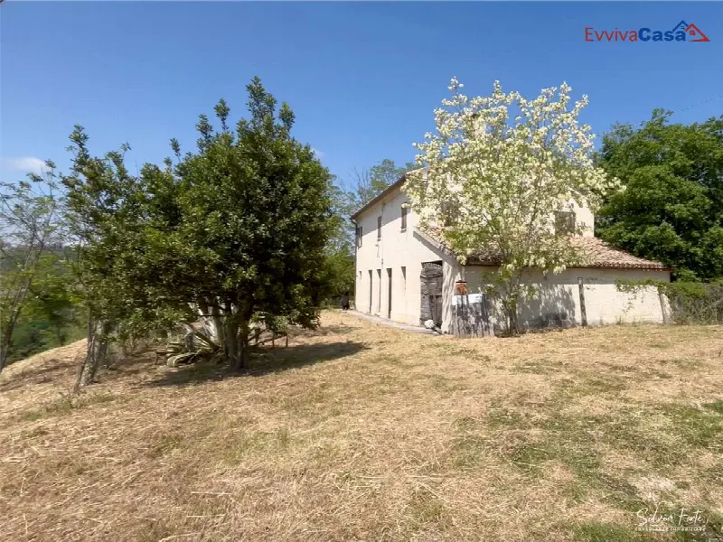 Rustico/Casale in vendita a Castel Colonna - foto 2