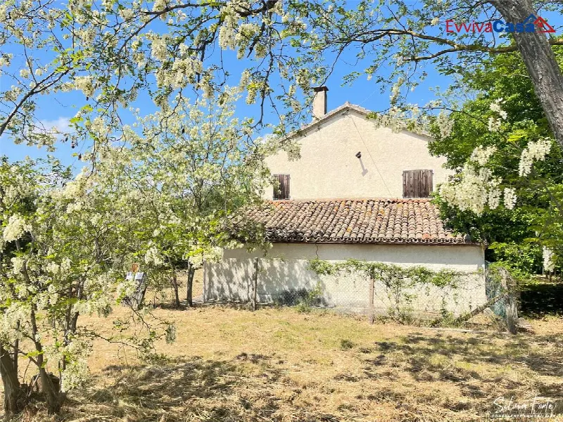 Rustico/Casale in vendita a Castel Colonna - foto 4