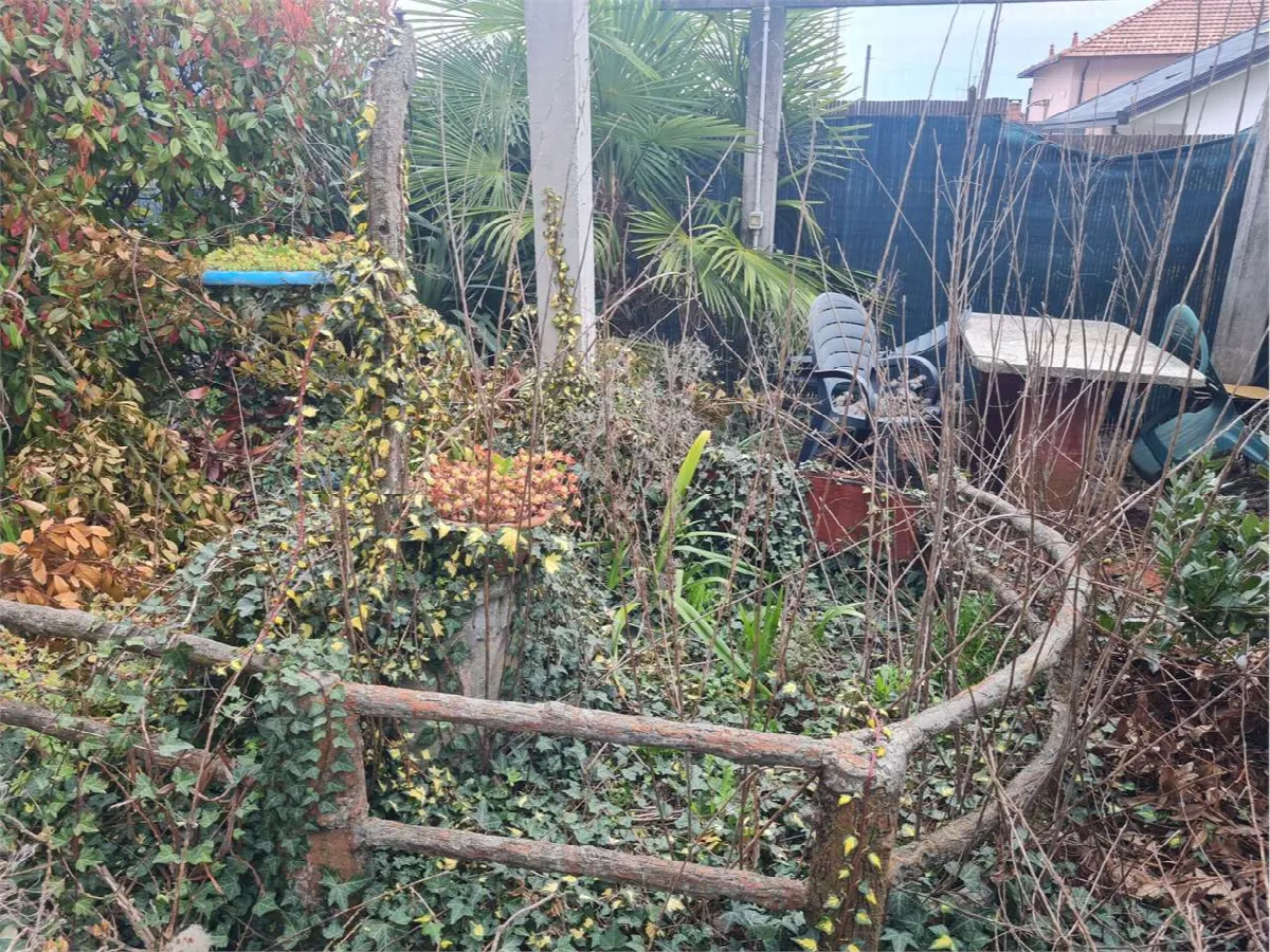 Appartamento in vendita a Bisuschio - foto 3
