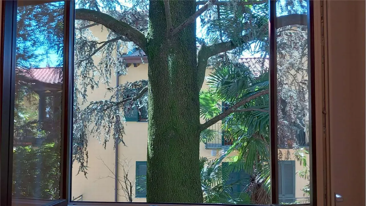Appartamento in vendita a Varese, Casbeno, Masnago, Brunella - foto 2