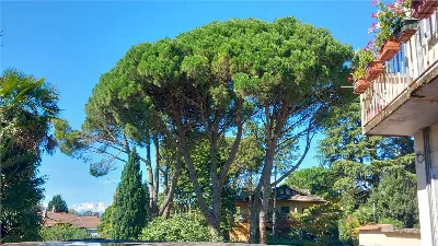 Appartamento in vendita a Varese, Casbeno,... - foto 4