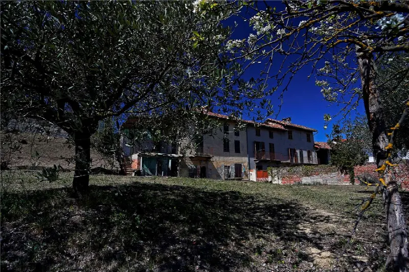Rustico/Casale in vendita a Montechiaro d'Asti - foto 2