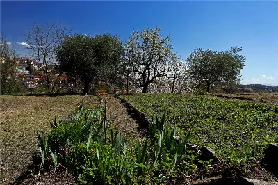 Rustico/Casale in vendita a Montechiaro d'... - foto 7