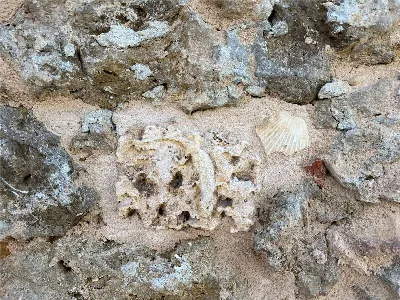 Rustico/Casale in vendita a Cortazzone - foto 6