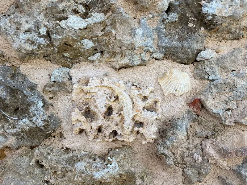 Rustico/Casale in vendita a Cortazzone - foto 6