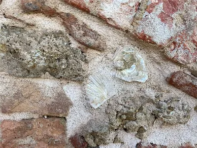 Rustico/Casale in vendita a Cortazzone - foto 7