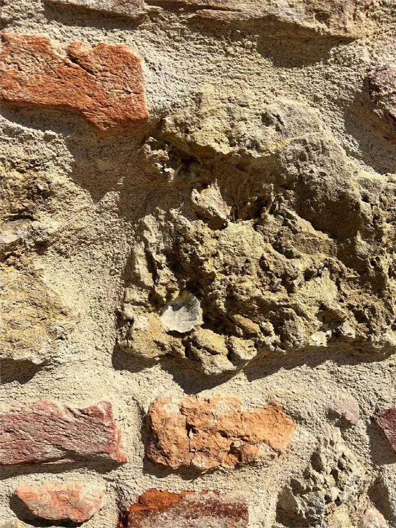 Rustico/Casale in vendita a Cortazzone - foto 8