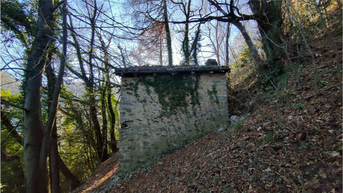 Rustico/Casale in vendita a Erve - foto 4