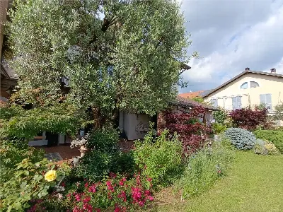 Villa in vendita a Paderno d'Adda - foto 5