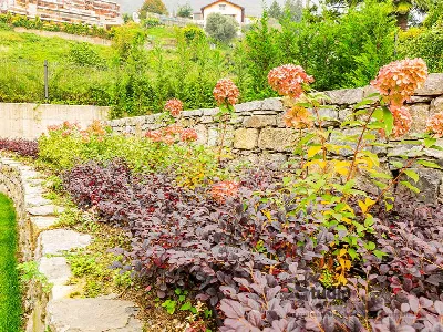 Appartamento in vendita a Lecco - foto 5