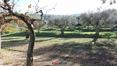 Rustico/Casale in vendita a Lisciano Nicco... - foto 8