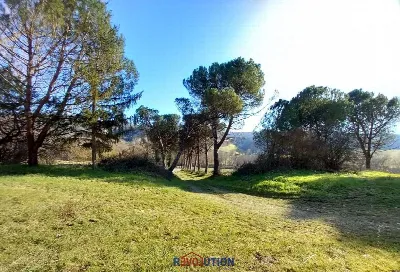 Rustico/Casale in vendita a Citerna - foto 9