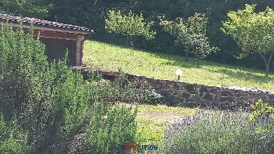Casa Indipendente in vendita a Monte Santa... - foto 9