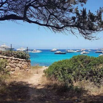 Appartamento in vendita a Olbia - foto 7