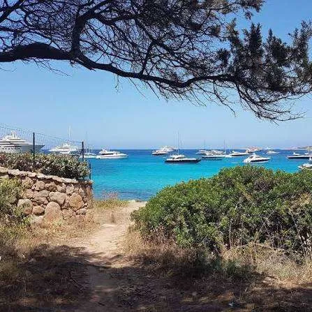 Appartamento in vendita a Olbia - foto 7