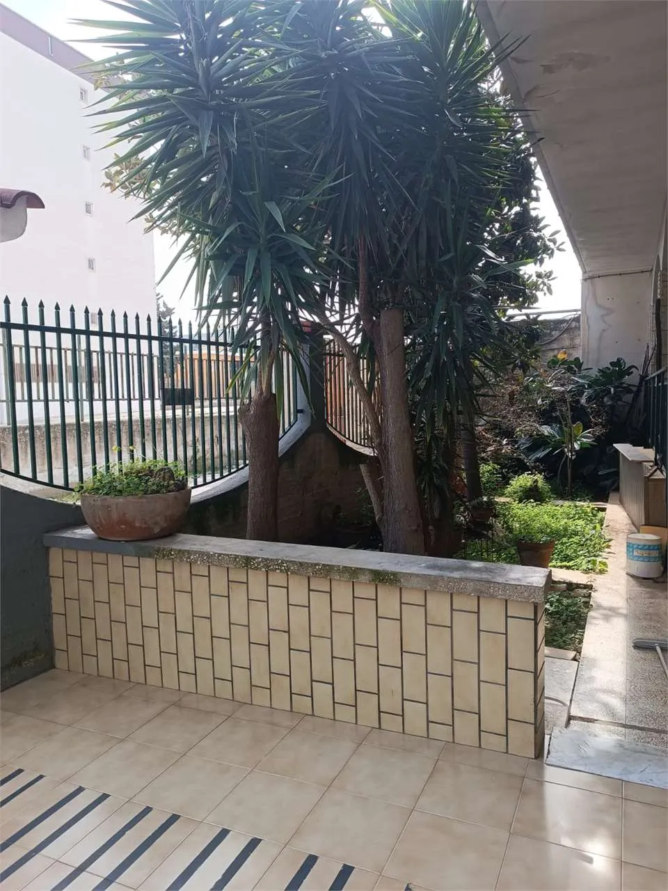 Appartamento in vendita a Bitonto - foto 4
