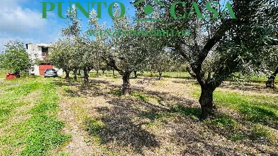 Rustico/Casale in vendita a Gizzeria - foto 1