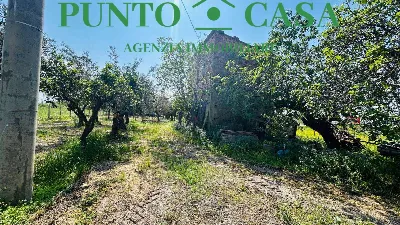 Rustico/Casale in vendita a Gizzeria - foto 10