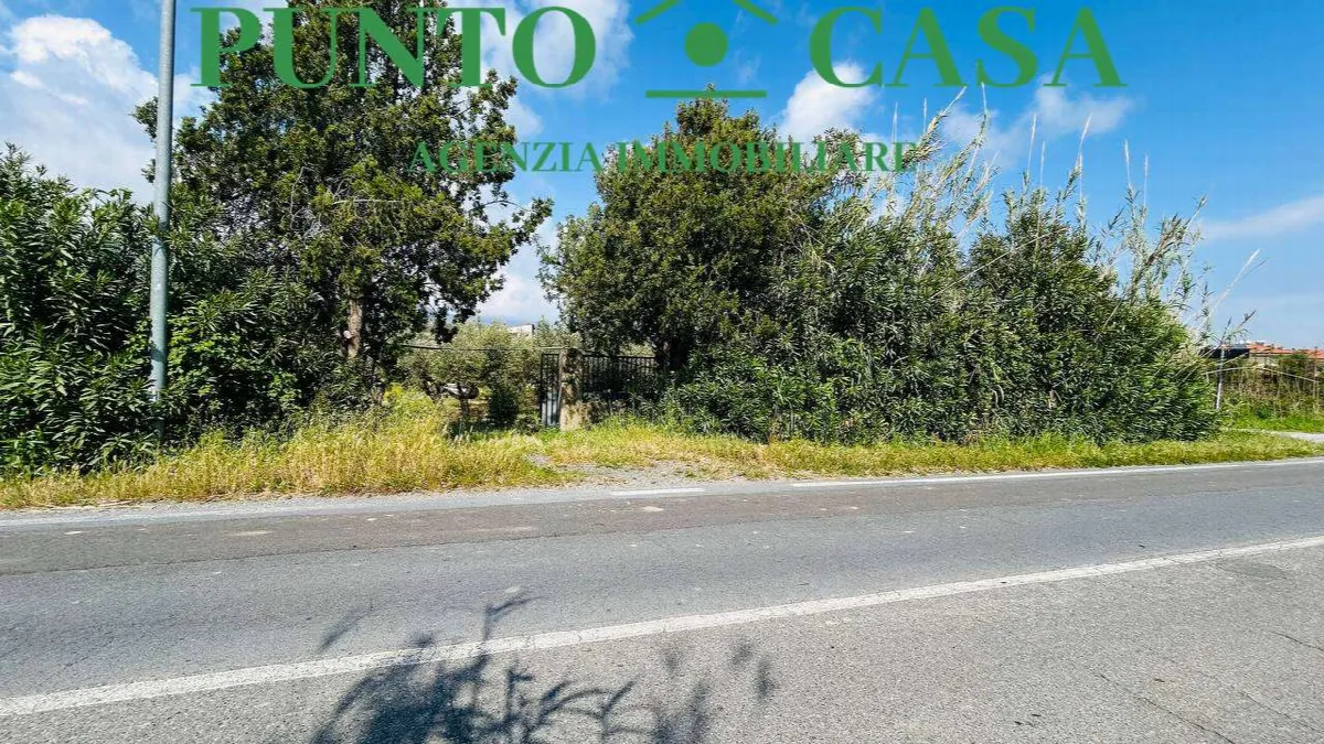 Rustico/Casale in vendita a Gizzeria - foto 3