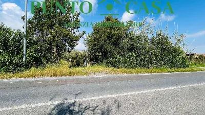 Rustico/Casale in vendita a Gizzeria - foto 3