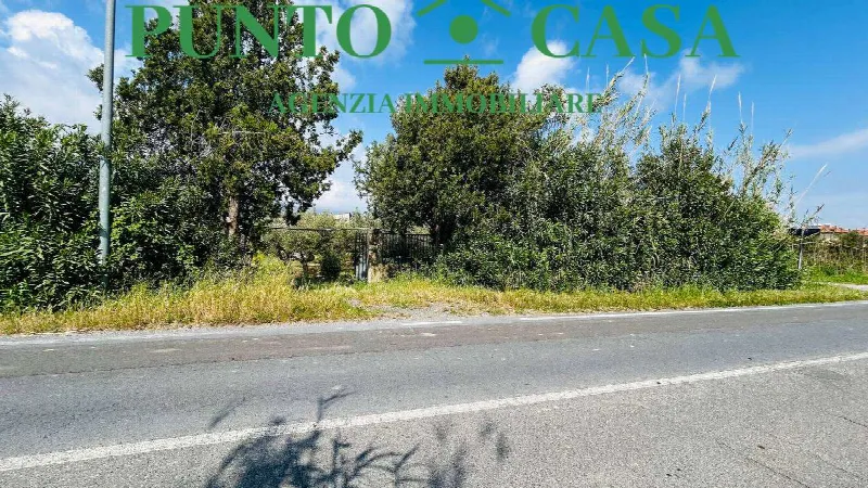 Rustico/Casale in vendita a Gizzeria - foto 3