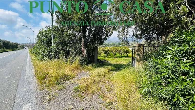 Rustico/Casale in vendita a Gizzeria - foto 4