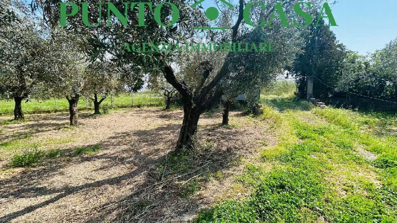 Rustico/Casale in vendita a Gizzeria - foto 6