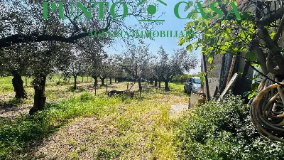 Rustico/Casale in vendita a Gizzeria - foto 9