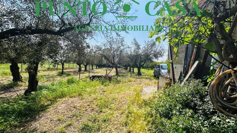 Rustico/Casale in vendita a Gizzeria - foto 9