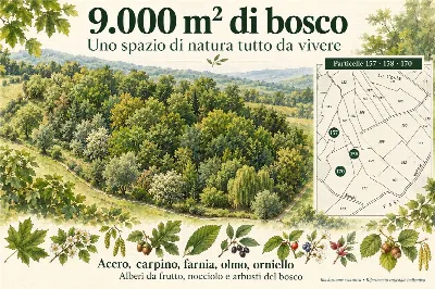 Casa Indipendente in vendita a Salsomaggio... - foto 2