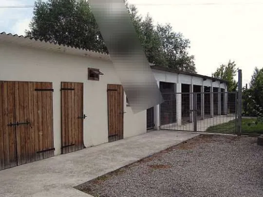 Casa Indipendente in vendita a Codevigo - foto 3