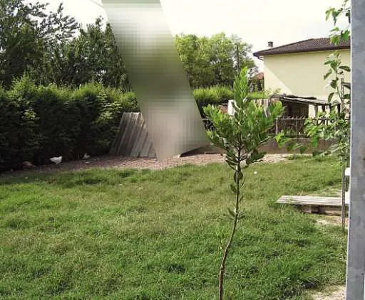 Casa Indipendente in vendita a Codevigo - foto 4