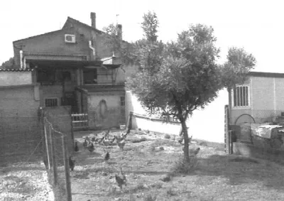 Appartamento in vendita a Montagnana - foto 3