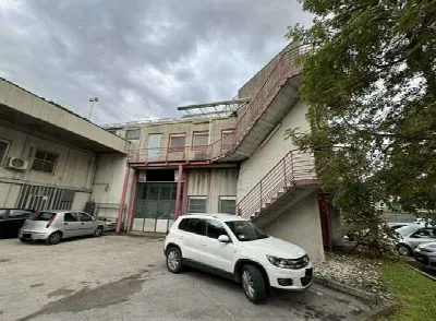Ufficio in vendita a Noventa Padovana, Scr... - foto 5