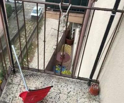 Appartamento in vendita a Venezia, Mestre,... - foto 6