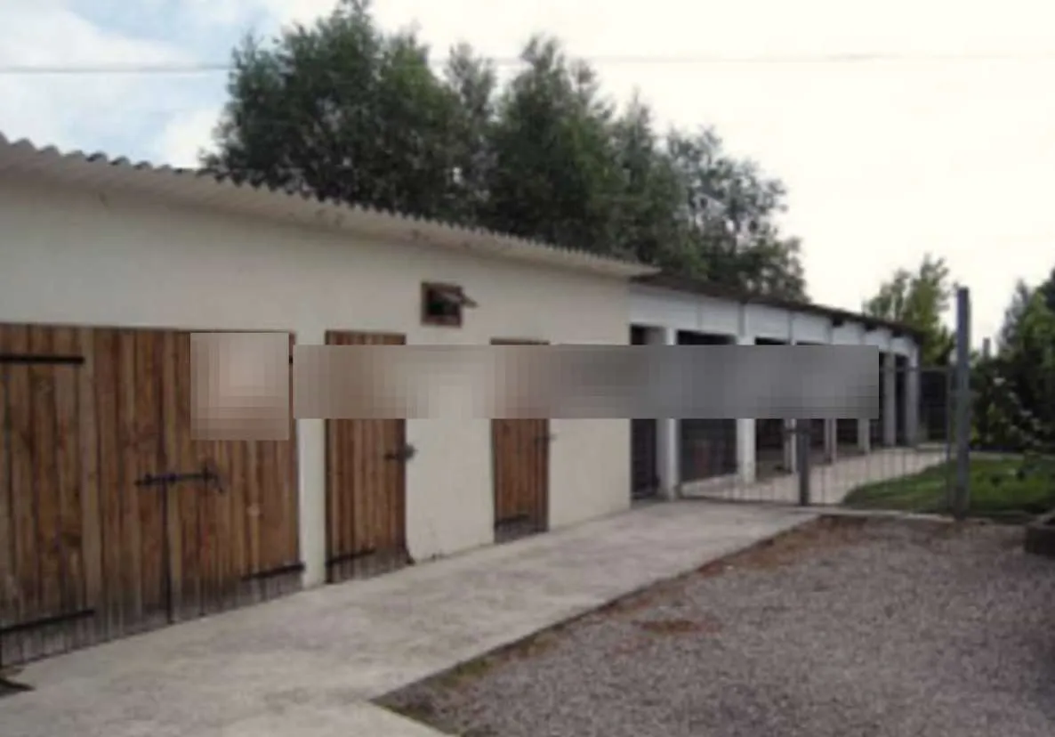Casa Indipendente in vendita a Codevigo - foto 5