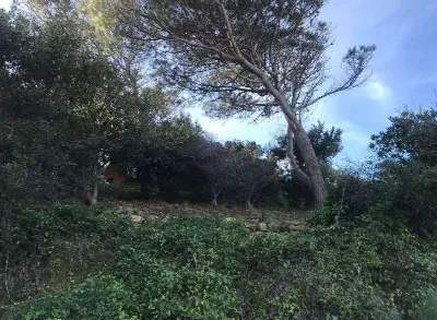 Villa in vendita a Trinità d'Agultu e Vign... - foto 9