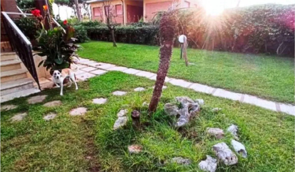 Villa in vendita a Anzio - foto 5