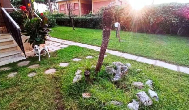 Villa in vendita a Anzio - foto 5