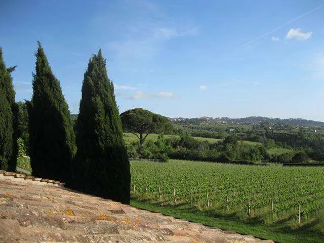 Villa in vendita a Grottaferrata, Anagnina, Romanina, Tor Vergata - foto 3