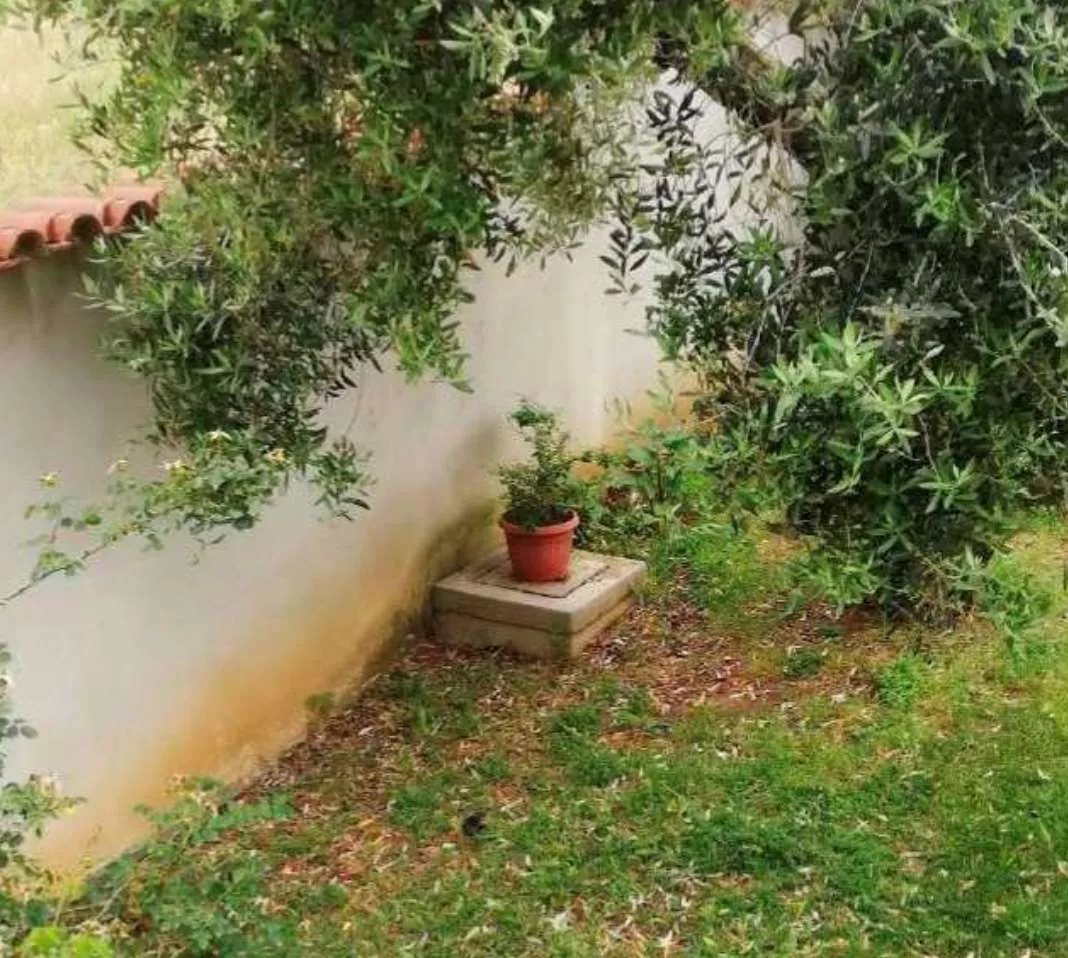 Villa in vendita a Nettuno - foto 5
