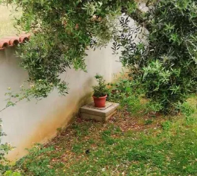 Villa in vendita a Nettuno - foto 5