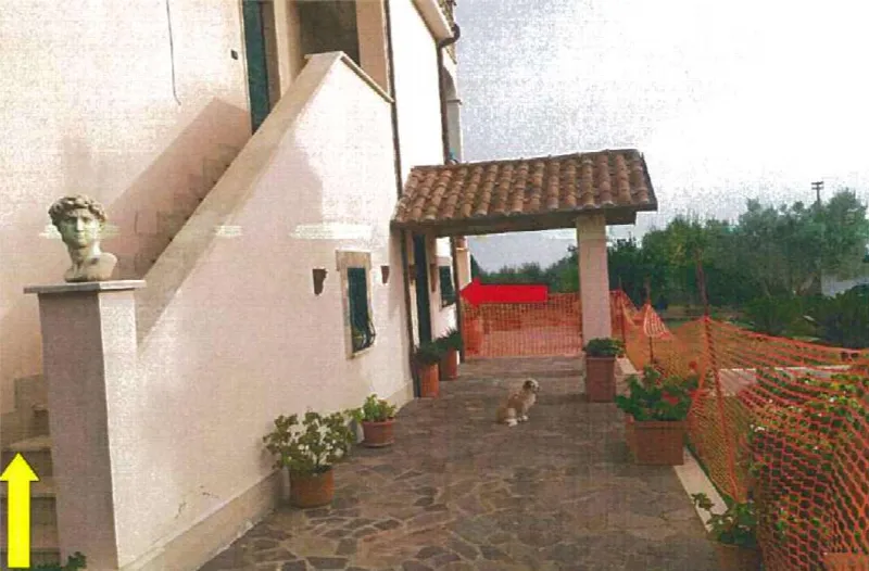 Appartamento in vendita a Genzano di Roma - foto 3