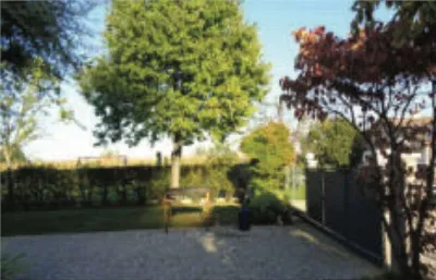 Villa in vendita a Riese Pio X - foto 9