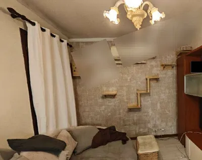 Appartamento in vendita a Mira - foto 6