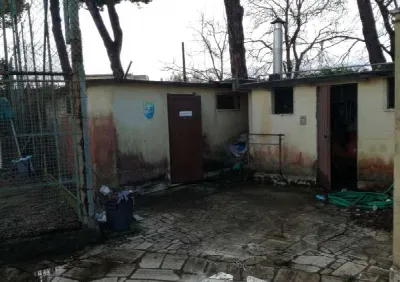 Villa in vendita a Anzio - foto 6