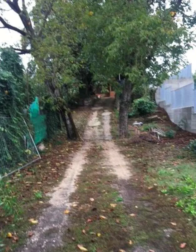 Villetta a schiera in vendita a Zagarolo - foto 4