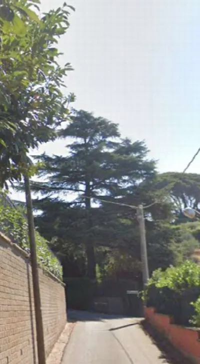 Villa in vendita a Velletri - foto 5